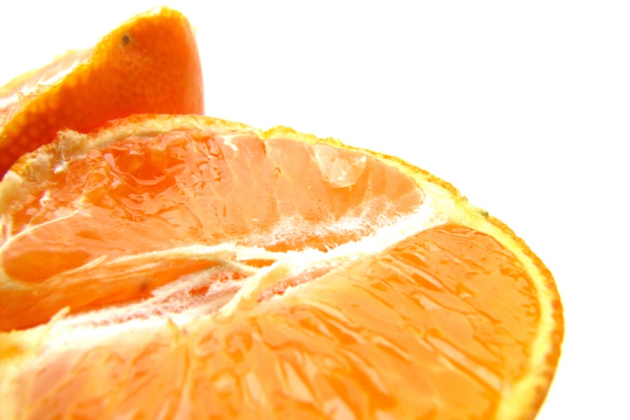 Vitamin C neophodan za život